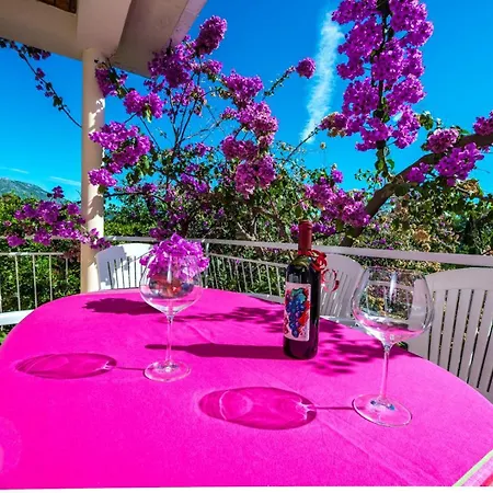 House Lido أوروبيتش